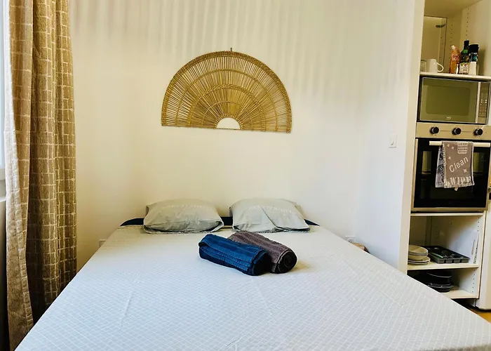 Confort Centre-ville Clim Wifi Netflix Apartment Perpignan